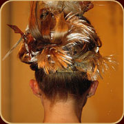 Collection automne 2008